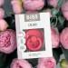 Соска пустушка 6-18 міс. BIBS Colour Latex Round (кругла) – Coral
